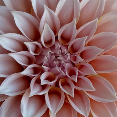 JaneHedrickx's profile picture. Mom, RN, Natural Healer.