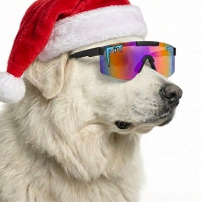 BowWowBrah's profile picture. Bane of retards. The weak should fear the strong. WÜF