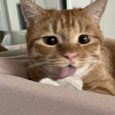 62ClarevKPJBROW's profile picture. Cis-5abRhC0O0K0DE0P49P43P39C7C5C4ZG3G2D5D4A5Y1aN9a

nostratikNEXT11MIKAT||DomainKO KRORAINAhevtalsTon Think08kid;biTOCHAIRY ChoseniaKoreensisSkinkVRkittoyotto