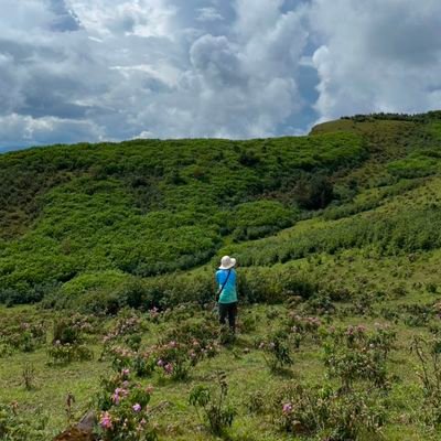 pui_faifai's profile picture. WINNERⓦ 💙
SEVENTEEN🩷🩵
จิมมี่ซี💜💙
เพิร์ธแซนต้า🖤🤍