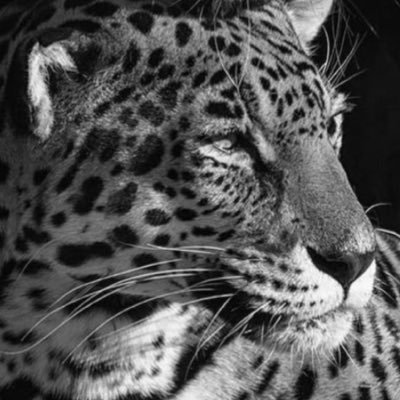 Bjsnanny's profile picture. 