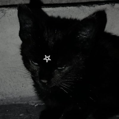 lvsmnry's profile picture. 23 | hurt no comfort