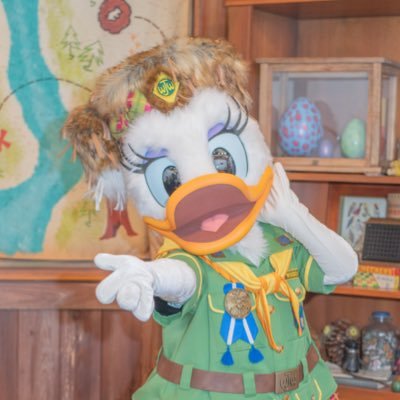 hideout_renren's profile picture. ウッドチャック大好きな陸にしかいない人間。 デイジー大好きだけど、たまにミニクラに浮気。写真動画たくさん載せます！