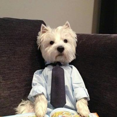 shcomhave's profile picture. 요즘따라 자꾸 좋은 너!🫵🏻