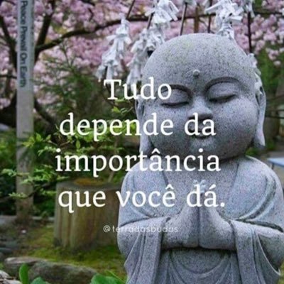 nerimagalhaess's profile picture. 