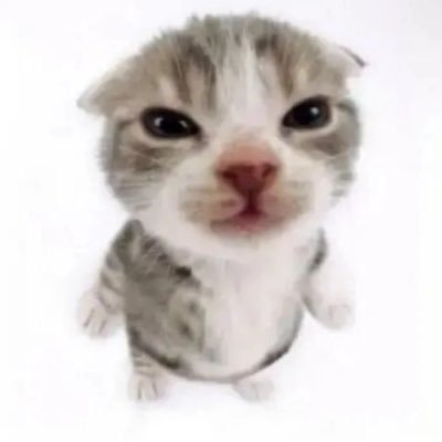 KMxsia's profile picture. 