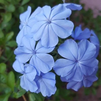 anotherfan_k's profile picture. 29 |she/her| 21+