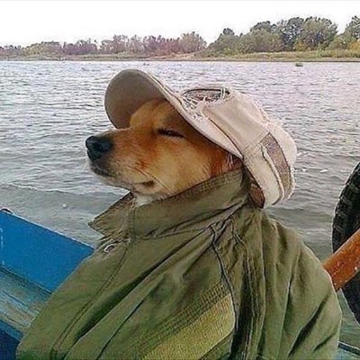 happysideupdog's profile picture. shith