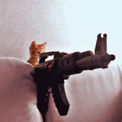 HedgedRisk's profile picture. 