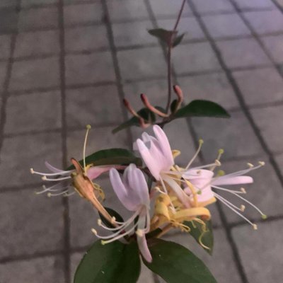 DMasf_f's profile picture. 私の旅行リストにはフランスの美食、スイスの雪景色、ブラジルの情熱があります。投資は市場で自分だけの「宝物」を見つけさせてくれます。