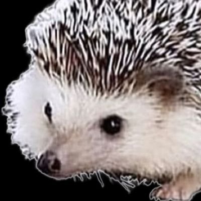 ChrisBerka1's profile picture. Depressed queer socialist