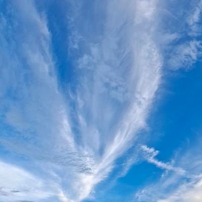 SUNXNICE's profile picture. 20⇈ | ซัน/ไนส | ‘‘ Writer n Artist ♢ ❐ นามปากกา SUN X NICE งานออริ♡ /ซันเอ๊กซ์ไนส งานแฟนฟิค✩ ❐ @wondernha OA: #แผนเอาชีวิตรอดของไม้เอก