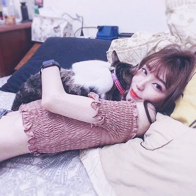 shihkageyama's profile picture. 