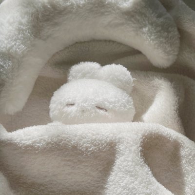 v__nim's profile picture. いじられるのは苦手です