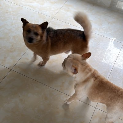 zsm76630_luffy's profile picture. 