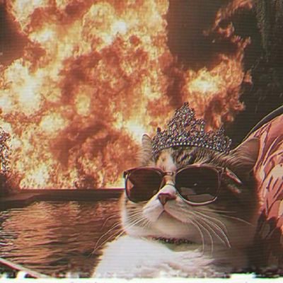 justagirl12p's profile picture. 💜🔮