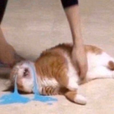 psycheidk's profile picture. 