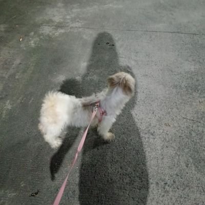 0xkimkai's profile picture. 💚