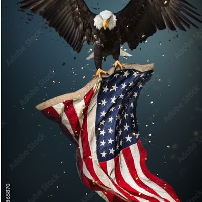 Daniel46380722's profile picture. Real American Patriot