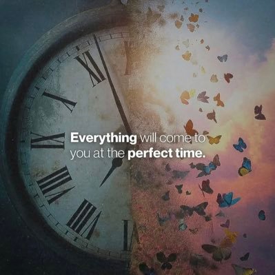 FawadAhmed1736's profile picture. 