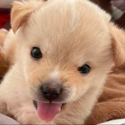 Fluffy_9mo's profile picture. 