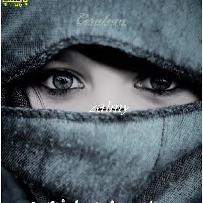 Zalmy156497's profile picture. 