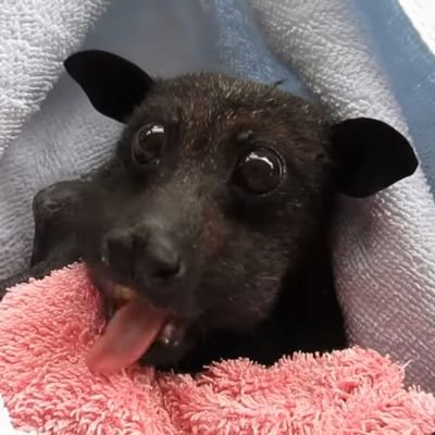 ha___i_'s profile picture. 20↑/都内/♂