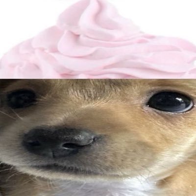 hrny_puppy_gf's profile picture. retarded puppi gf that wil clean ur ass ♡ // 9teen goonette (о´∀`о)