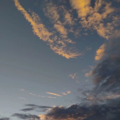 1298No's profile picture. 