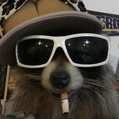 sflightblue's profile picture. El día que vuelva staff series se cae el mundo