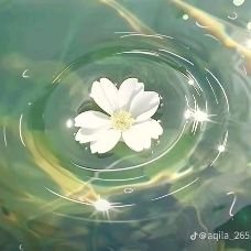 echakopi15's profile picture. 