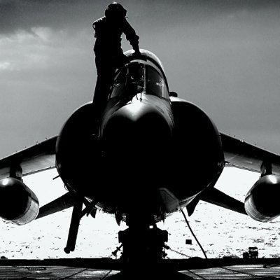 SteelAtlantic's profile picture. 1940–1990 ⚡ Beautiful machines we’ll never build again.