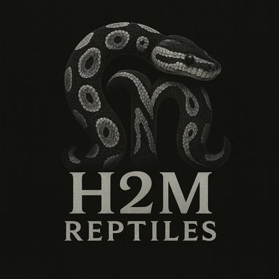 h2mreptiles's profile picture. 国内ボールパイソン専門ブリーダー🐍 デザートゴーストをメインにブリード中✨ モルフ紹介・繁殖などの情報を発信‼️ 初めてでも安心してお迎え出来るそんな信頼されるブリーダーを目指しています。　登録番号　25東京都版第008778号