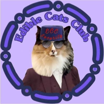 TJS12145's profile picture. Cover HS sports. 2 time college graduate . #CatsOfAnarchy. #ECC #DDDDC  #RuffRiderz #TylersTitans #JerrysCucina  #Hedgewatch #Mogwarts #NipClub #NPC
