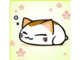 ねむネコ先輩