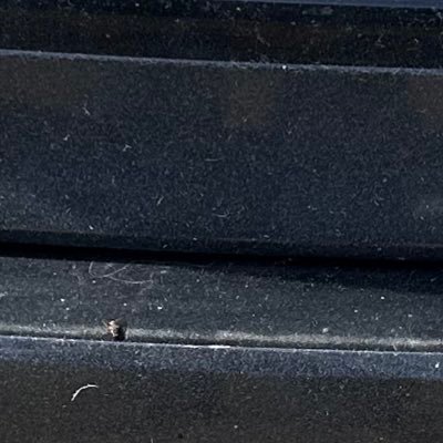 silverfoxhung's profile picture. respectable and fun guy in Ireland who is here to have fun with lonely ladies and couples who want to have good clean fun and nice intimate moments