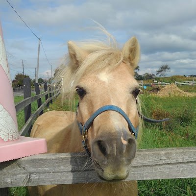 xiuqianye's profile picture. 