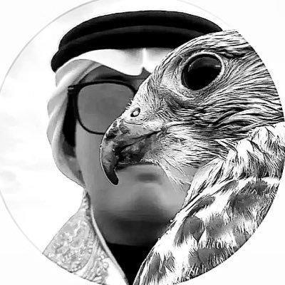 q8yloz's profile picture. إختر اللي يخلِّي الراحة تبين عليك ..