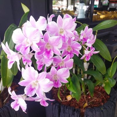 w_kay54870's profile picture. 