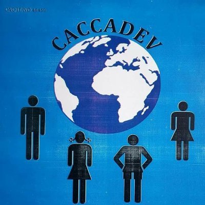 CACCADEV's profile picture. Integrating well informed Education & Health interventions 4 positive change through intensive/extensive comm. mobilization for self-help initiatives (CM-SHI)
