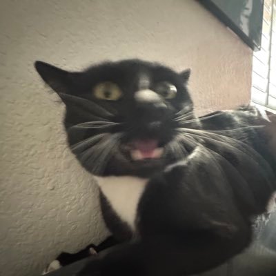 trpxx0's profile picture. 