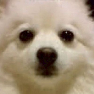 S_080_6585_6826's profile picture. 犬と音楽とパチスロと煙草と酒と、時々、オカン｜🔞垢👉️@kokitate_hihi_