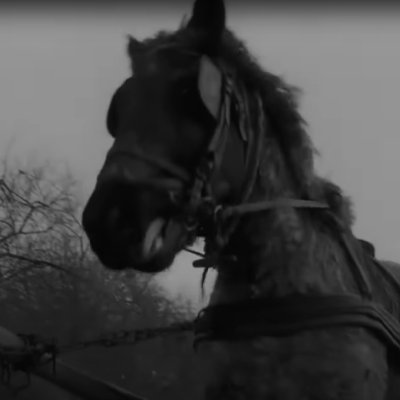 xelixire2's profile picture. 