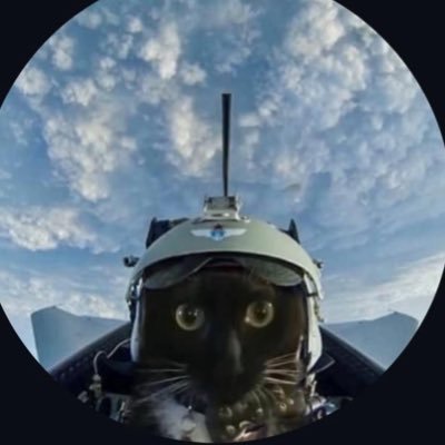 levvercetti's profile picture. building @poppin_so // contributor @AllstarsAC // member @superteam // alt-tab enjoyer