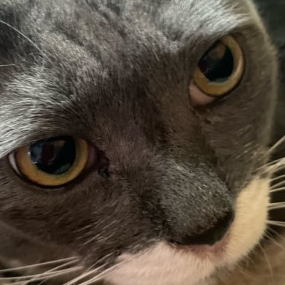 jTFbudAGpVQ5K67's profile picture. 