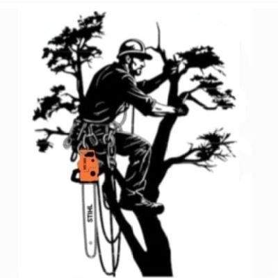 services25281's profile picture. Your Local Tree Pro, give your garden a face-lift, get in touch on our Whatsapp business account. 081 663 1105 

Website:
https://t.co/G0zNSk3dCN