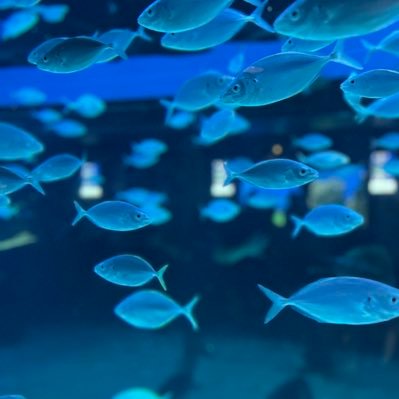 samjsfirth's profile picture. 