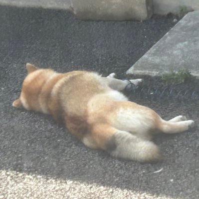 hide_taka_m's profile picture. 色々ありまして、潰すことにしました。