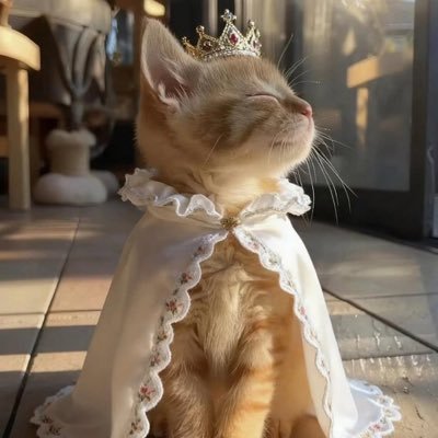 nayssscu's profile picture. book, movie, and science enthusiast || mach heute was gutes🧚🏻‍♂️