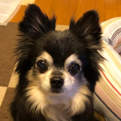 kona（コナ）🌟GttT (@kona93060684) / Posts / X